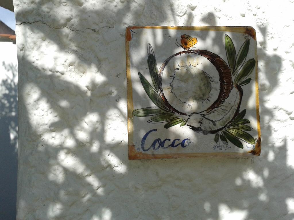 Pitosforo - Ulivo - Cocco Villa Forio di Ischia Exteriör bild